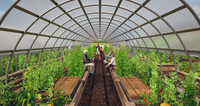 GardenShips, where communities can meet, learn, and contribute.